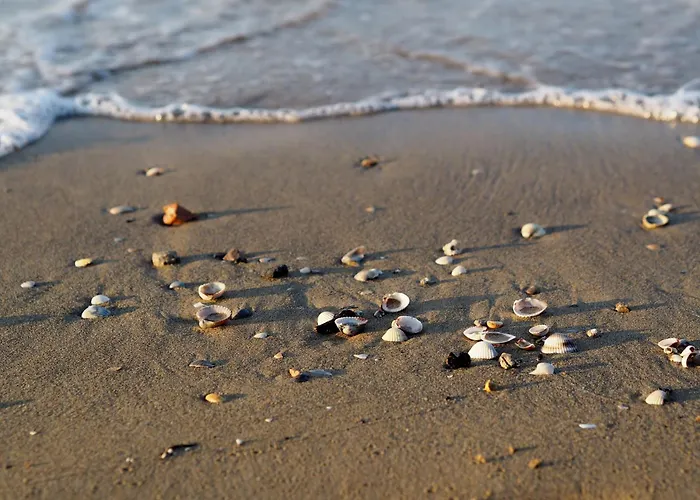 Apartmán Beachfront Two-room Apartment-beahost